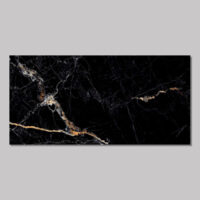 120X60 Deluxe Black Porcelain Tiles